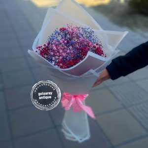 ژیپسوفیلا مینیمال